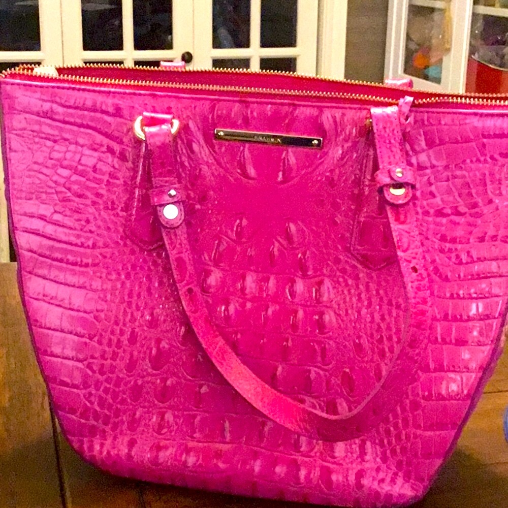 Brahmin with ( NWT ) never worn no sign of wear